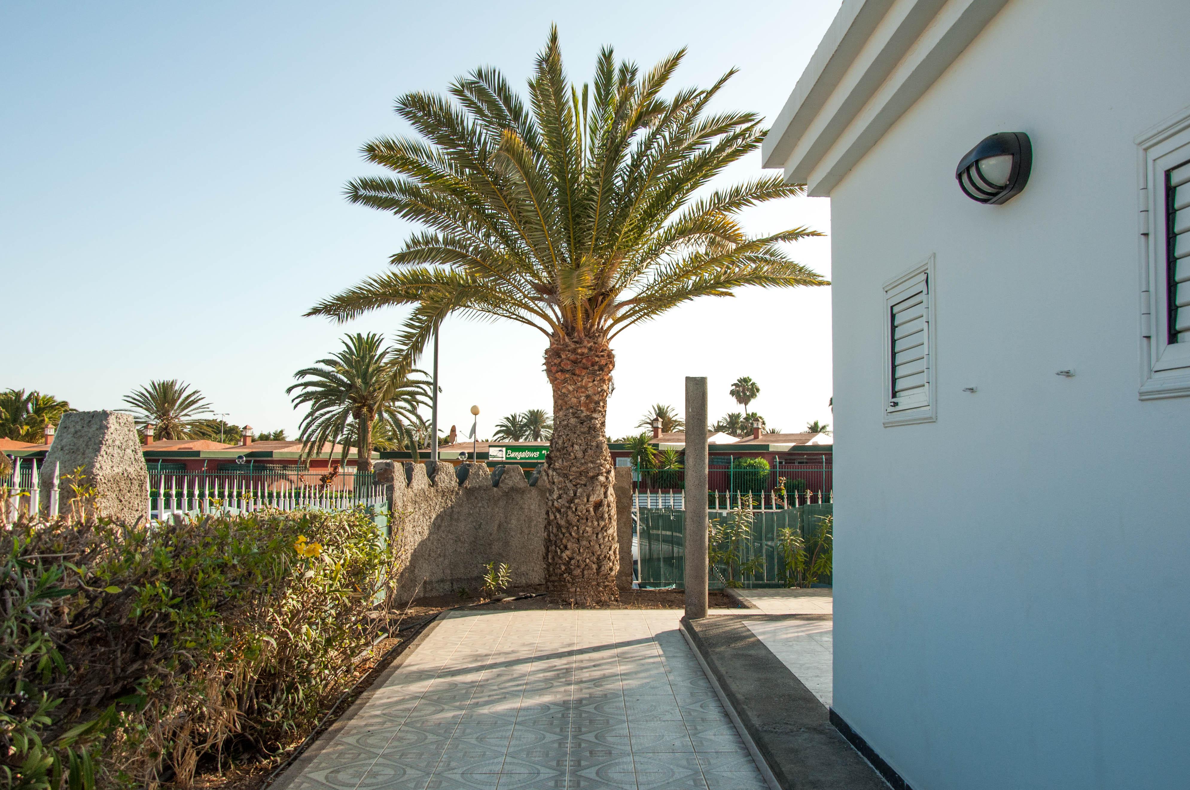 Bungalows Las Almenas Maspalomas  Exteriör bild