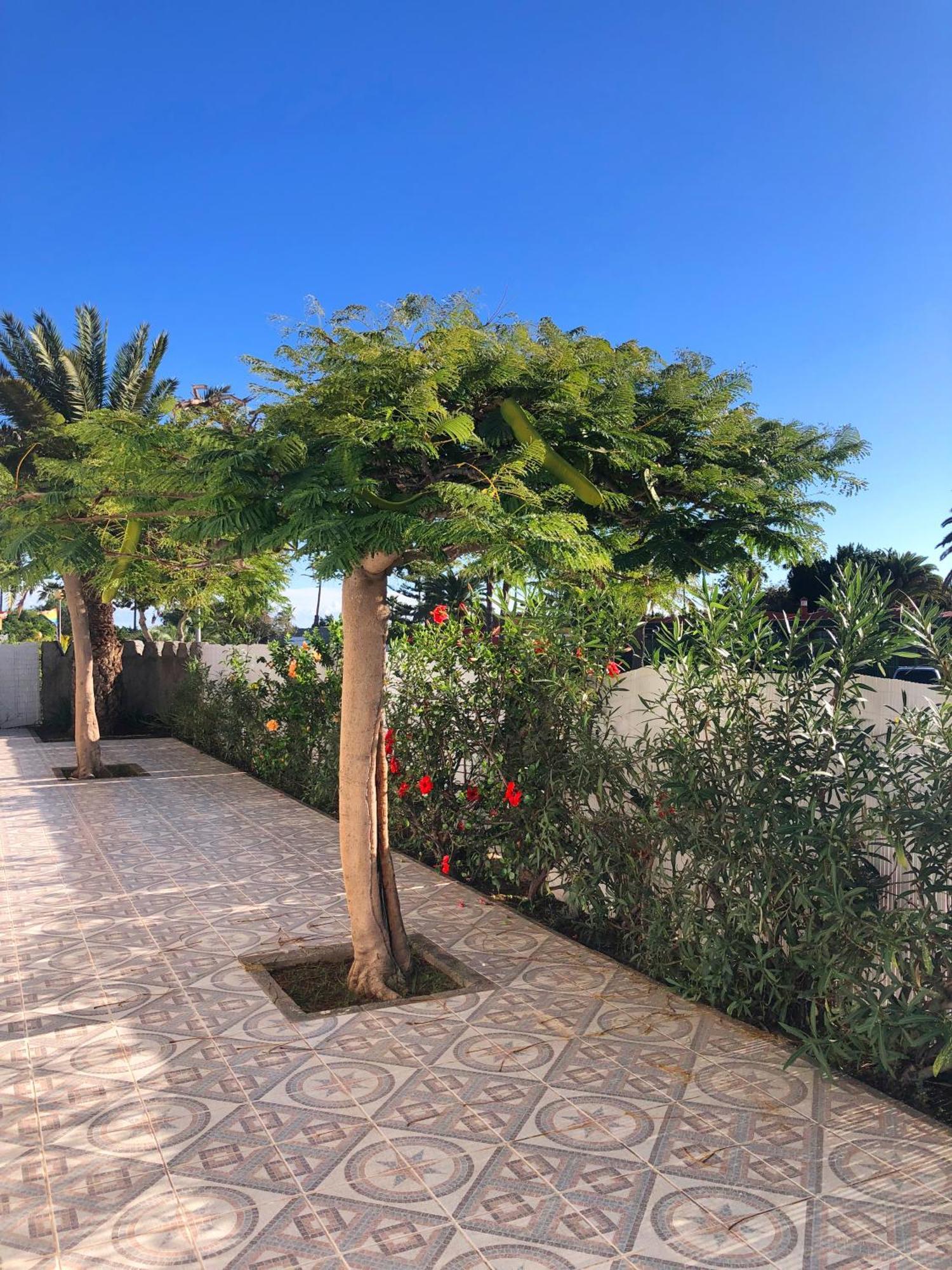 Bungalows Las Almenas Maspalomas  Exteriör bild